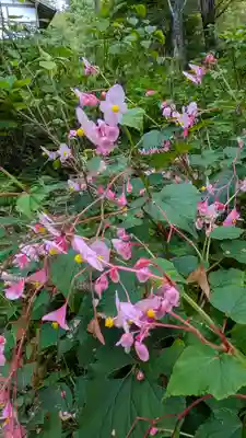 三千院門跡(京都府)