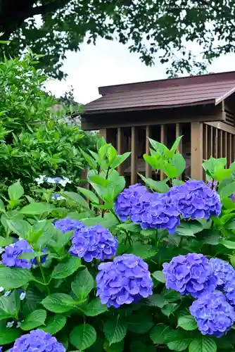 白山神社(東京都)