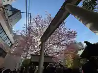 蔵前神社の{uncategorized: "未分類", other: "その他", undefined: "問題あり", building: "その他建物", grave: "お墓", sacred_gate: "鳥居", guardian: "狛犬", statue: "像", buddha: "仏像", history: "歴史", nature: "自然", garden: "庭園", animal: "動物", pagoda: "塔", temizu: "手水舎", mountain_gate: "山門・神門", sanctuary: "本殿・本堂", subordinate: "末社・摂社", art: "芸術", scenery: "景色", jizo: "地蔵", ema: "絵馬", goshuin: "御朱印", omikuji: "おみくじ", items: "授与品その他", amulet: "お守り", goshuincho: "御朱印帳", eats: "食事", festival: "お祭り", votive_dance: "神楽", shichigosan: "七五三参", wedding: "結婚式", experience: "体験その他", initially: "初詣", around: "周辺", anti_infection: "感染症対策"}
