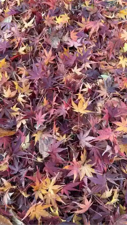 甲斐善光寺(山梨県)