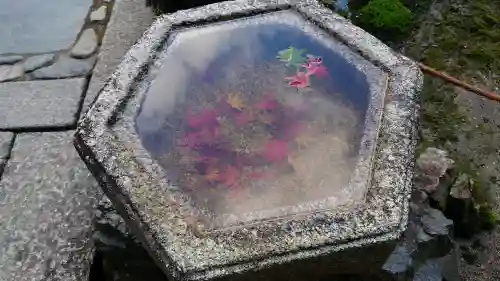 東福禅寺（東福寺）の{uncategorized: "未分類", other: "その他", undefined: "問題あり", building: "その他建物", grave: "お墓", sacred_gate: "鳥居", guardian: "狛犬", statue: "像", buddha: "仏像", history: "歴史", nature: "自然", garden: "庭園", animal: "動物", pagoda: "塔", temizu: "手水舎", mountain_gate: "山門・神門", sanctuary: "本殿・本堂", subordinate: "末社・摂社", art: "芸術", scenery: "景色", jizo: "地蔵", ema: "絵馬", goshuin: "御朱印", omikuji: "おみくじ", items: "授与品その他", amulet: "お守り", goshuincho: "御朱印帳", eats: "食事", festival: "お祭り", votive_dance: "神楽", shichigosan: "七五三参", wedding: "結婚式", experience: "体験その他", initially: "初詣", around: "周辺", anti_infection: "感染症対策"}