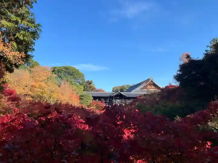 東福禅寺(東福寺)(京都府)