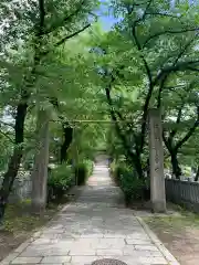 高津宮の鳥居