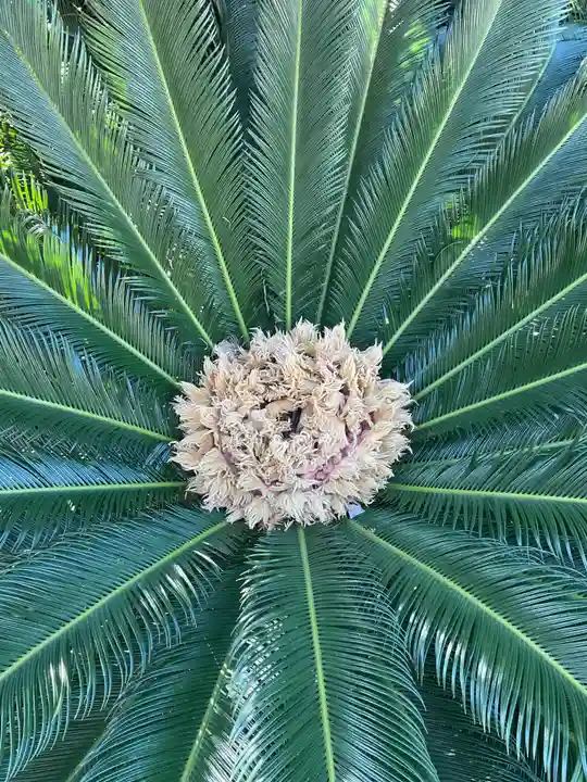 井際山 如意輪寺(愛知県)