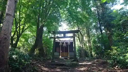 曽波神社の鳥居