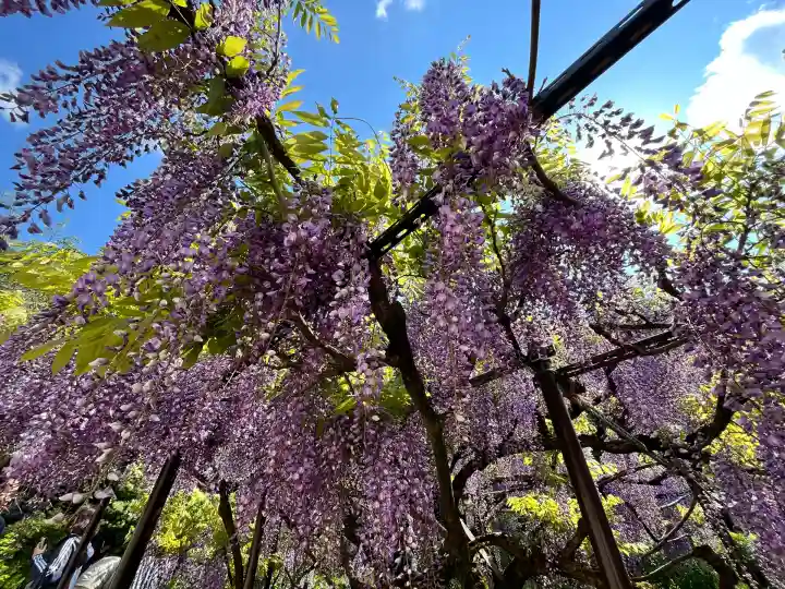 白毫寺熊野権現社(兵庫県)