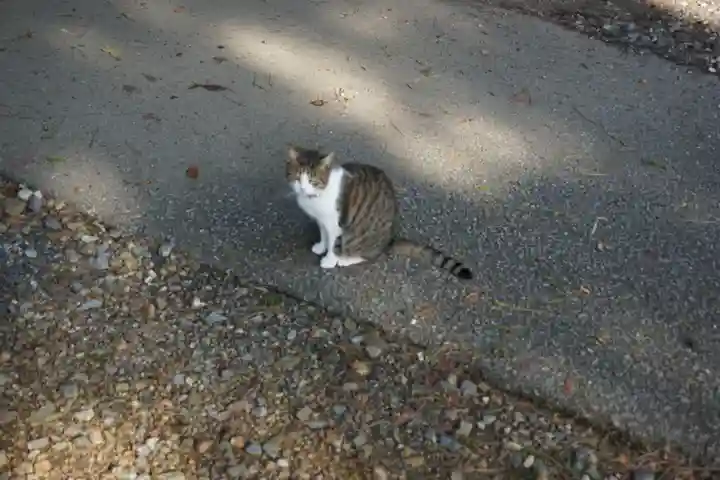 唐澤山神社の動物