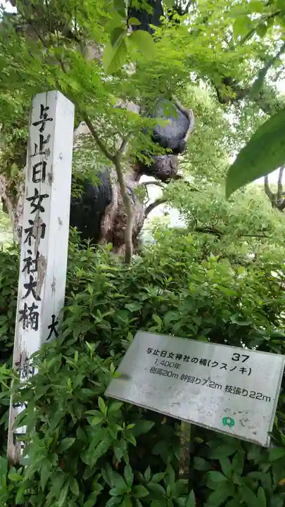 與止日女神社のその他建物