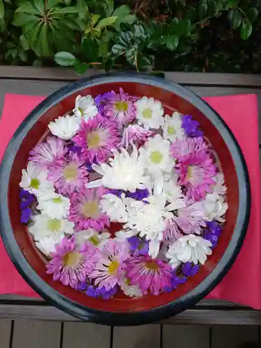 増上寺塔頭 三縁山 宝珠院の手水舎