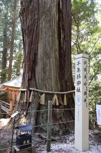 鷲子山上神社(栃木県)