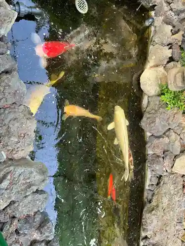 吉原弁財天本宮（吉原神社奥宮）(東京都)