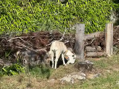 嶽之下宮(静岡県)