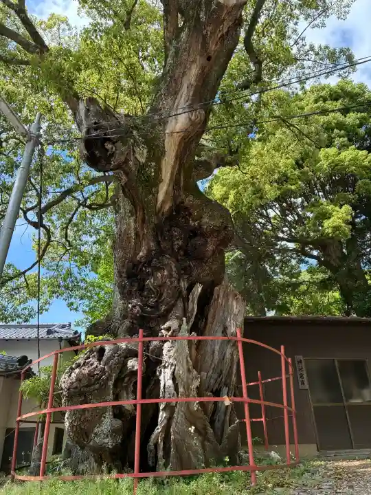 土肥神社の{uncategorized: "未分類", other: "その他", undefined: "問題あり", building: "その他建物", grave: "お墓", sacred_gate: "鳥居", guardian: "狛犬", statue: "像", buddha: "仏像", history: "歴史", nature: "自然", garden: "庭園", animal: "動物", pagoda: "塔", temizu: "手水舎", mountain_gate: "山門・神門", sanctuary: "本殿・本堂", subordinate: "末社・摂社", art: "芸術", scenery: "景色", jizo: "地蔵", ema: "絵馬", goshuin: "御朱印", omikuji: "おみくじ", items: "授与品その他", amulet: "お守り", goshuincho: "御朱印帳", eats: "食事", festival: "お祭り", votive_dance: "神楽", shichigosan: "七五三参", wedding: "結婚式", experience: "体験その他", initially: "初詣", around: "周辺", anti_infection: "感染症対策"}
