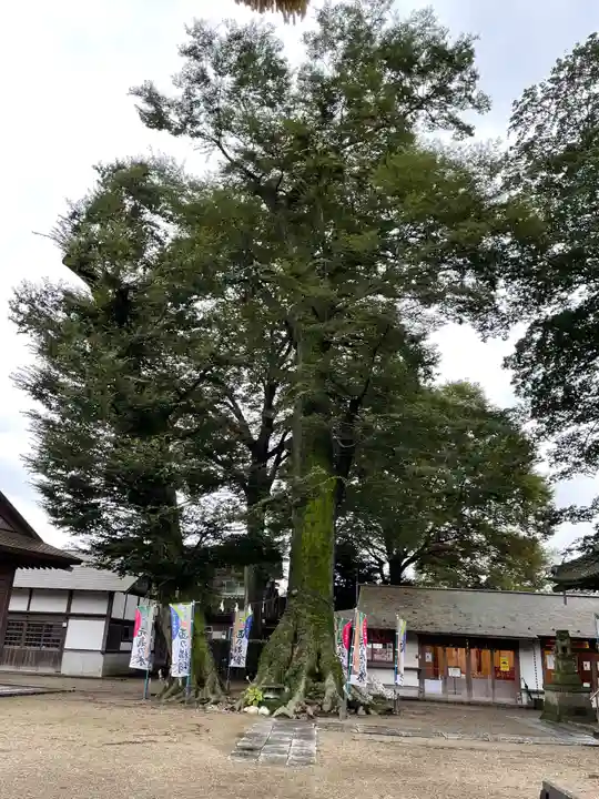 八枝神社の自然