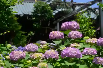 白山神社(東京都)