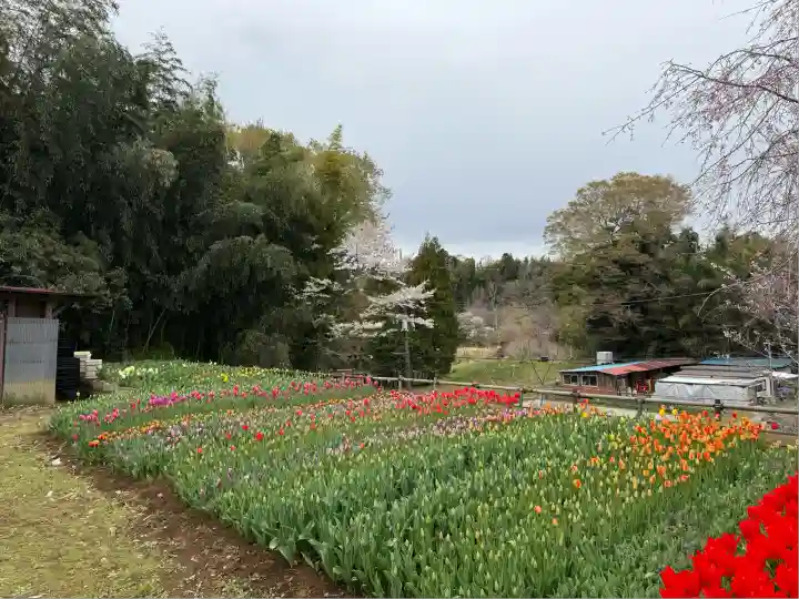 泉蔵寺(神奈川県)