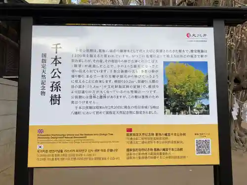 葛飾八幡宮(千葉県)