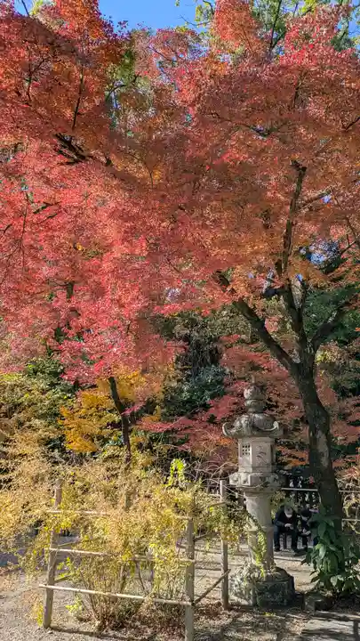 梨木神社(京都府)