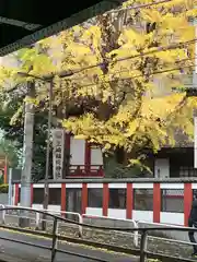 三崎稲荷神社の周辺