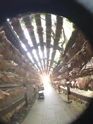 川越氷川神社の絵馬