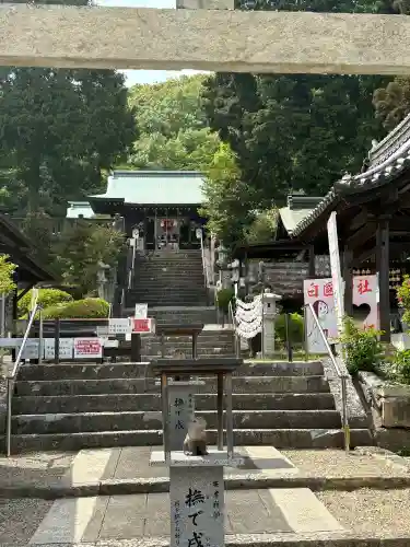 白國神社の{uncategorized: "未分類", other: "その他", undefined: "問題あり", building: "その他建物", grave: "お墓", sacred_gate: "鳥居", guardian: "狛犬", statue: "像", buddha: "仏像", history: "歴史", nature: "自然", garden: "庭園", animal: "動物", pagoda: "塔", temizu: "手水舎", mountain_gate: "山門・神門", sanctuary: "本殿・本堂", subordinate: "末社・摂社", art: "芸術", scenery: "景色", jizo: "地蔵", ema: "絵馬", goshuin: "御朱印", omikuji: "おみくじ", items: "授与品その他", amulet: "お守り", goshuincho: "御朱印帳", eats: "食事", festival: "お祭り", votive_dance: "神楽", shichigosan: "七五三参", wedding: "結婚式", experience: "体験その他", initially: "初詣", around: "周辺", anti_infection: "感染症対策"}