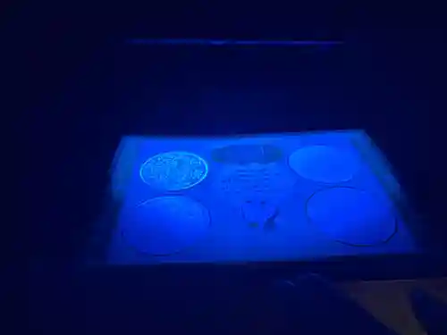 平安神宮の体験その他