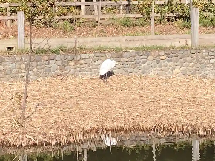 千束八幡神社(東京都)