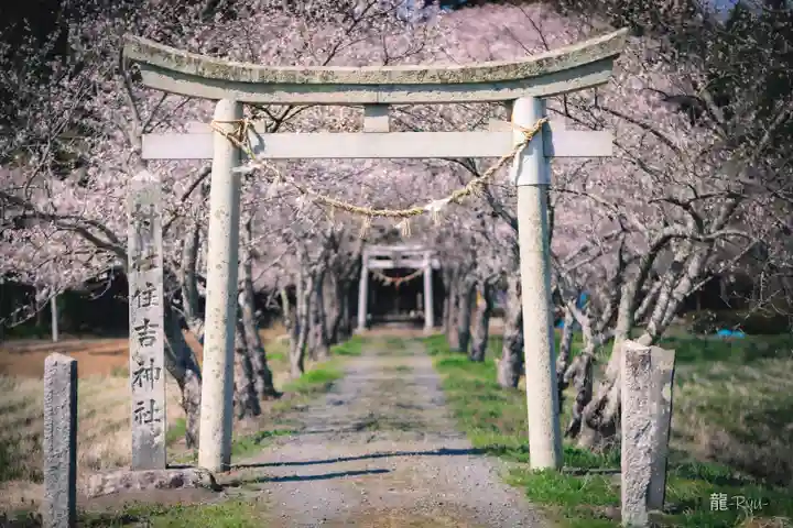 住吉神社(宮城県)