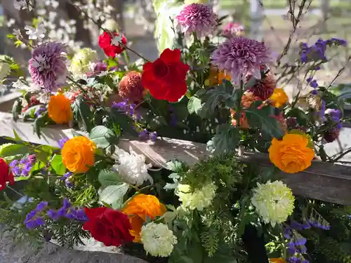 彌彦神社　(伊夜日子神社)の手水舎