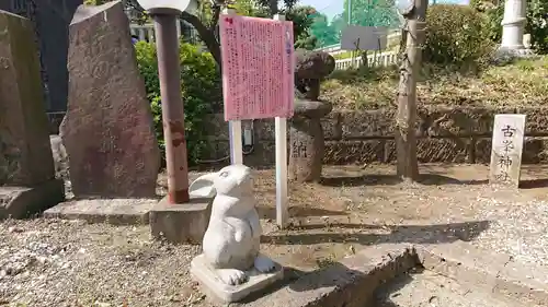 赤羽八幡神社の狛犬