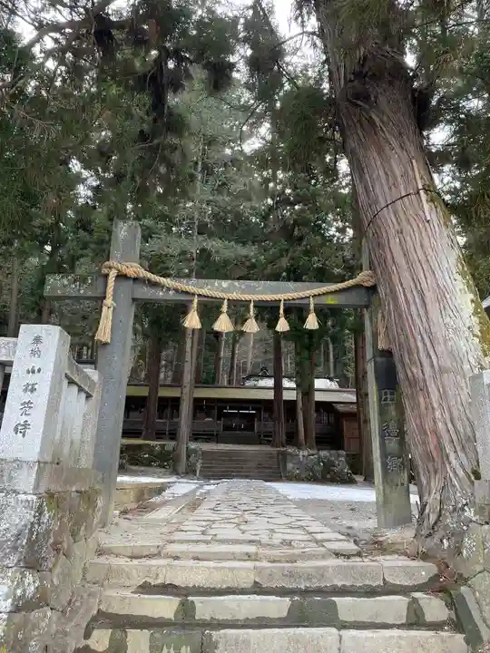 諏訪大社(長野県)