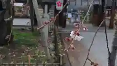 平野神社の自然