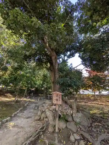 御坂神社(兵庫県)