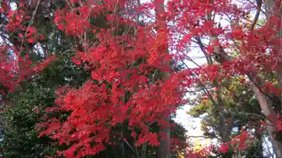 鵜川神社の庭園