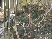 遠照山 光明寺(尼崎大仏)(兵庫県)