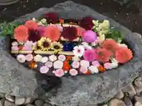 発寒神社の手水舎