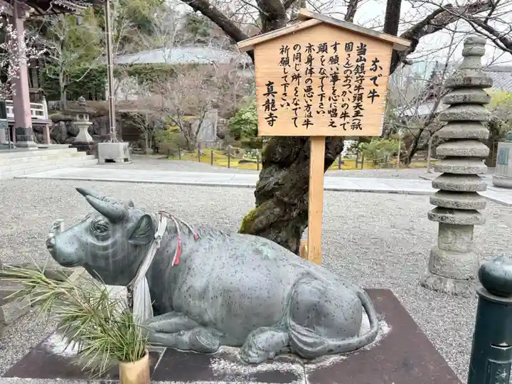 真龍寺(大阪府)