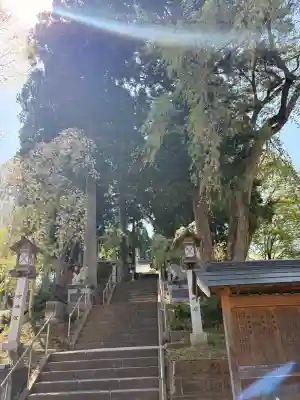 角館総鎮守 神明社の{uncategorized: "未分類", other: "その他", undefined: "問題あり", building: "その他建物", grave: "お墓", sacred_gate: "鳥居", guardian: "狛犬", statue: "像", buddha: "仏像", history: "歴史", nature: "自然", garden: "庭園", animal: "動物", pagoda: "塔", temizu: "手水舎", mountain_gate: "山門・神門", sanctuary: "本殿・本堂", subordinate: "末社・摂社", art: "芸術", scenery: "景色", jizo: "地蔵", ema: "絵馬", goshuin: "御朱印", omikuji: "おみくじ", items: "授与品その他", amulet: "お守り", goshuincho: "御朱印帳", eats: "食事", festival: "お祭り", votive_dance: "神楽", shichigosan: "七五三参", wedding: "結婚式", experience: "体験その他", initially: "初詣", around: "周辺", anti_infection: "感染症対策"}