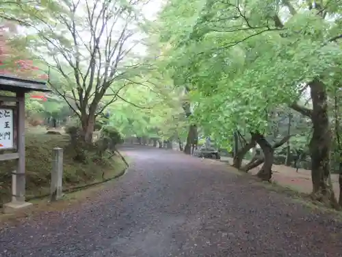 園城寺（三井寺）の建物その他