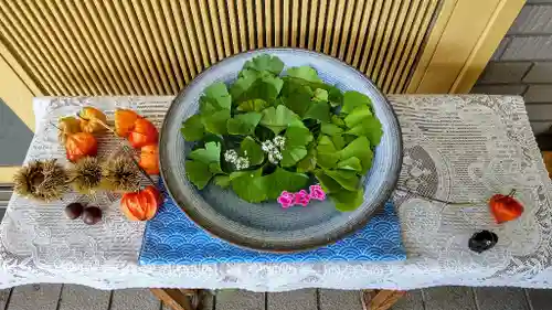 美瑛神社の手水舎
