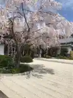 桂岩寺(愛知県)