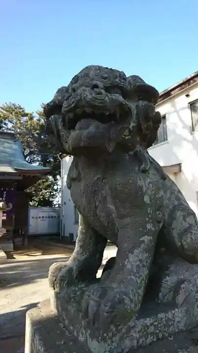 安房神社の狛犬