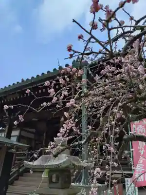 今熊野観音寺(京都府)