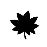 零羊崎神社(宮城県)