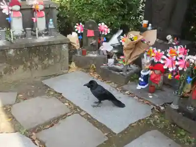 増上寺(東京都)