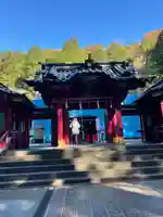 箱根神社の本殿・本堂