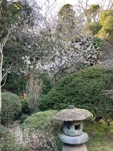 報国寺の庭園