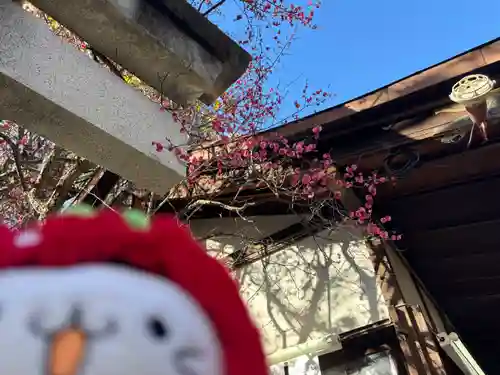 牛天神北野神社(東京都)