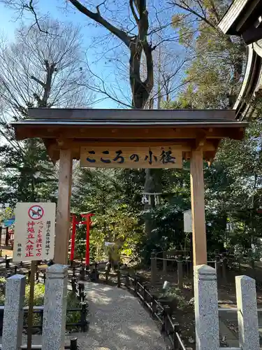 川越八幡宮(埼玉県)