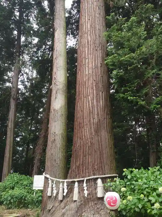 磯山神社(栃木県)